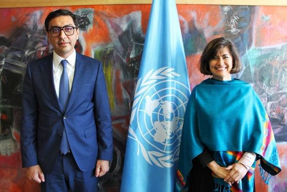 Fərid Qayıbov UNESCO-da komitə sədri seçilib