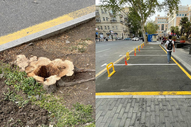 İlham Əliyev qanunsuz parklanma yerinin sökülməsinə dair tapşırıq verdi