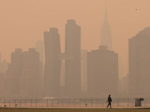 Manhettendə iki avtobusun toqquşması nəticəsində 80-dən çox insan xəsarət alıb