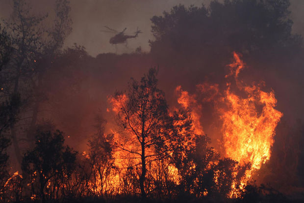 Yunanıstanda meşələri qəsdən yandıranlar saxlanılıblar