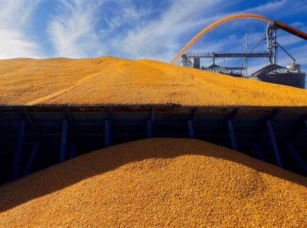 Ukrayna Afrika ölkəsində taxıl qovşağı yaratmağa hazırlaşır Ukrayna Afrika ölkəsində taxıl qovşağı yaratmağa hazırlaşır