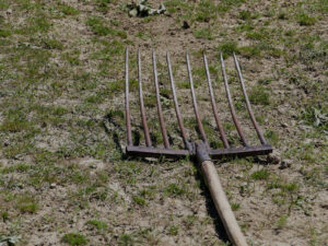 Pskov yaxınlığında itkin düşən uşağın valideynləri bıçaq və çəngəl ilə PDN əməkdaşına hücum edib