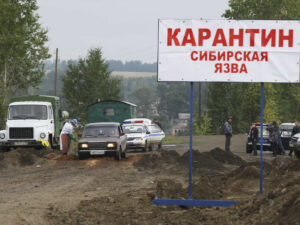 Voronej vilayətinin iki rayonunda qarayara karantini ləğv edilib