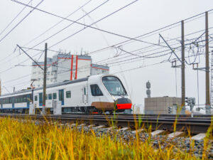 Soçidə qatarların hərəkəti relslərdə ağacların aşması səbəbindən gecikib