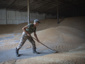 Slovakiya Ukrayna taxılının idxalına qoyulan qadağanı uzatmaq niyyətində olduğunu açıqlayıb