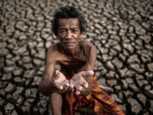 2024-cü ildə dünyada ərzaq ehtiyatları azalacaq