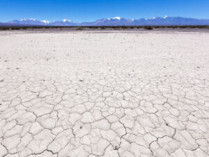 Argentinalı deputatlar Maylinin radikal islahatlarını nəzərdən keçirməyə başlayırlar