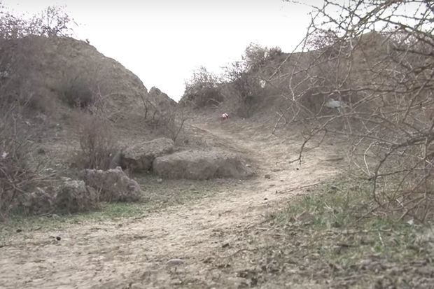 Sumqayıtda ürəktutma keçirən kişi dərəyə yuvarlandı Sumqayıtda ürəktutma keçirən kişi dərəyə yuvarlandı