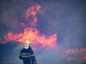 Krasnodar vilayətində neft emalı zavodunda yanğın baş verib