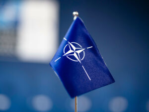 Çinli alim NATO-nun Şərqə doğru genişlənməsinin mümkünlüyünü qiymətləndirib