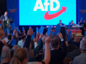 Almaniyada AfD partiyasını ekstremist kimi tanımaq istəyirlər