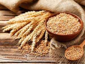 Azərbaycan buğda idxalını kəskin azaldıb