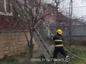 Masallı rayonunda yanğın baş verib