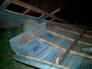 Güclü külək Goranboyda fəsadlara yol açıb