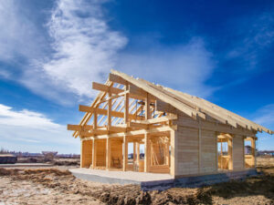 Vəkil Moskva vilayətində rubla torpaq sahəsi əldə etmək imkanından danışıb