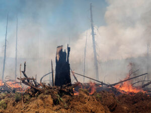 Buryatiyada şiddətli meşə yanğınları tüğyan edir