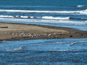 Saxalində iki zəlzələ baş verib