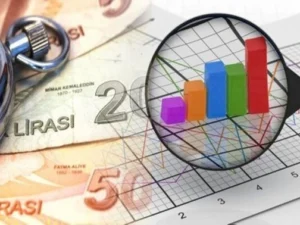 Türkiyədə inflyasiyanın ilin sonuna kimi 43,52%-ə çatacağı gözlənilir