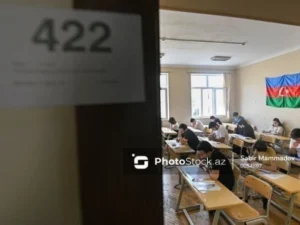 Magistraturaya ixtisas seçimi başladı