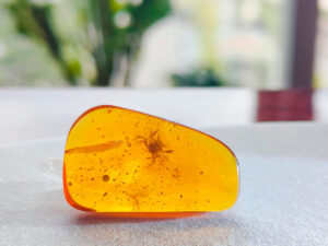 Yura Parkı alimləri süni kəhrəba yaratmağa ruhlandırdı