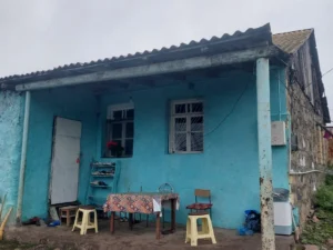 Azərbaycanda gəlin qayınanasını baltalayıb