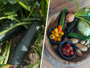 Devid Bekhem balqabağını nümayiş etdirib