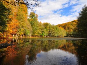 Türkiyədə unikal sağlamlıq imkanları ilə özünüzü mükafatlandırın – FOTO