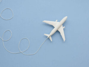 Alimlər hava limanı yaxınlığında yaşayışın yaratdığı zərəri aşkar ediblər