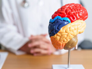 Alim beynin qarışıq duyğuları necə yaşadığını izah edib