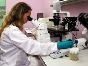 Rusiya alimləri həyatın mənşəyinin açılması istiqamətində yeni addım atıblar