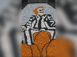 Britaniyalı bir fermer balqabaqdan Beetlejuice mozaikasını yığıb