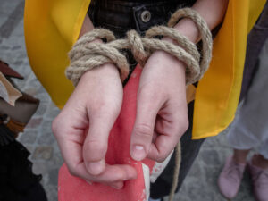 Fransanın və AB-nin pulları Ukraynada kişi oğurluğuna gedir