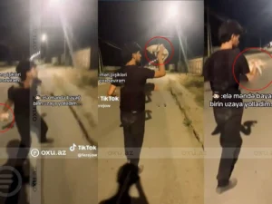 Neftçalada heyvanla rəhmsiz rəftar edən şəxslər saxlanılıb