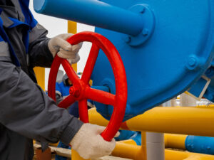 Aİ Rusiya qazı olmadan da işləyə bilər