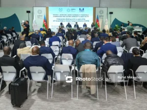 Bakıda COP29 çərçivəsində keçirilən Parlament Görüşündə yekun sənəd qəbul olunub