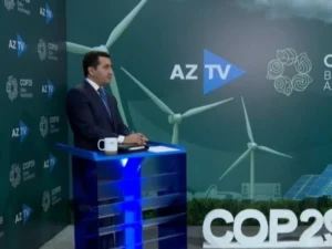 Hikmət Hacıyev Fransanın və Ermənistanın COP29-da iştirak etməməsi məsələsindən danışıb