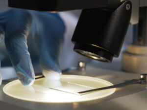 Alimlər superböcəklərin antibiotiklərdən qorunmasında yeni boşluq aşkar ediblər