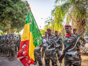 Üç Afrika ölkəsi ordularını maksimum döyüş hazırlığına gətirib