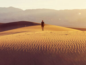 Alimlər qlobal fəlakətdən təşvişə düşüblər