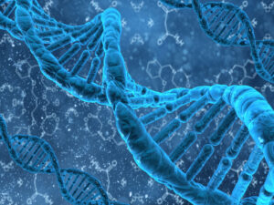 Milyonlarla il ərzində gənələrin aseksual təkamülünün sirri açıldı