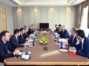 Azərbaycan və Türkiyə arasında bərpa olunan enerji sahəsində əməkdaşlıq müzakirə olunub