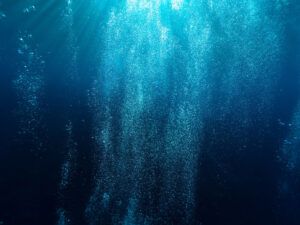 Finlandiyadan Estoniyaya gedən kabellər Finlandiya körfəzində bərpa olunmağa başlayıb