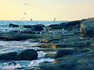 Azərbaycanda dəniz suyunun duzsuzlaşdırılması texnologiyasının tətbiqinə başlanılıb