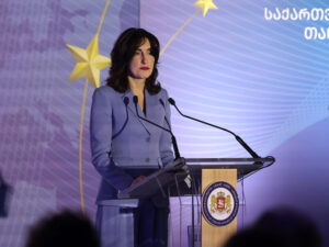 Gürcüstan Ukrayna yolundan imtina etmək qərarını düzgün hesab edir