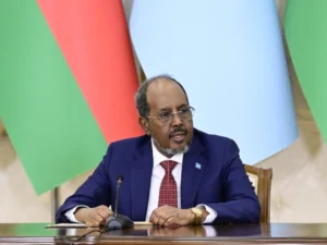 Somali Prezidentinin Azərbaycana səfəri başa çatıb