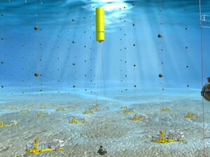 Alimlər Tarixdəki Ən Enerjili “Kabus Hissəciyi” Sualtında Tapdılar