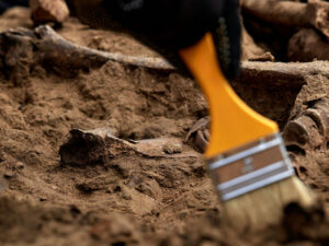 Tanzaniyada 1,5 milyon il əvvələ aid qədim sümük alətləri tapılıb