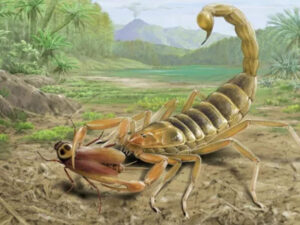 Çində 125 milyon il əvvəl yaşamış nəhəng zəhərli əqrəb tapılıb