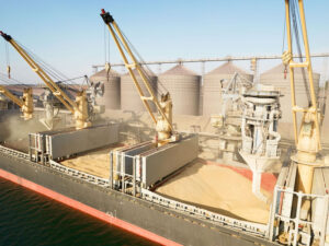 Türkiyə deyir ki, taxıl müqaviləsinin bərpası ilə bağlı heç bir qərar yoxdur