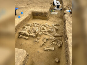 Avstriyada Buz Dövrü “mamont emalatxanası” tapıldı